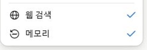 입력창 플러스 메뉴의 아래쪽 두 항목. 웹 검색과 메모리 모두 체크 표시가 켜져 있음